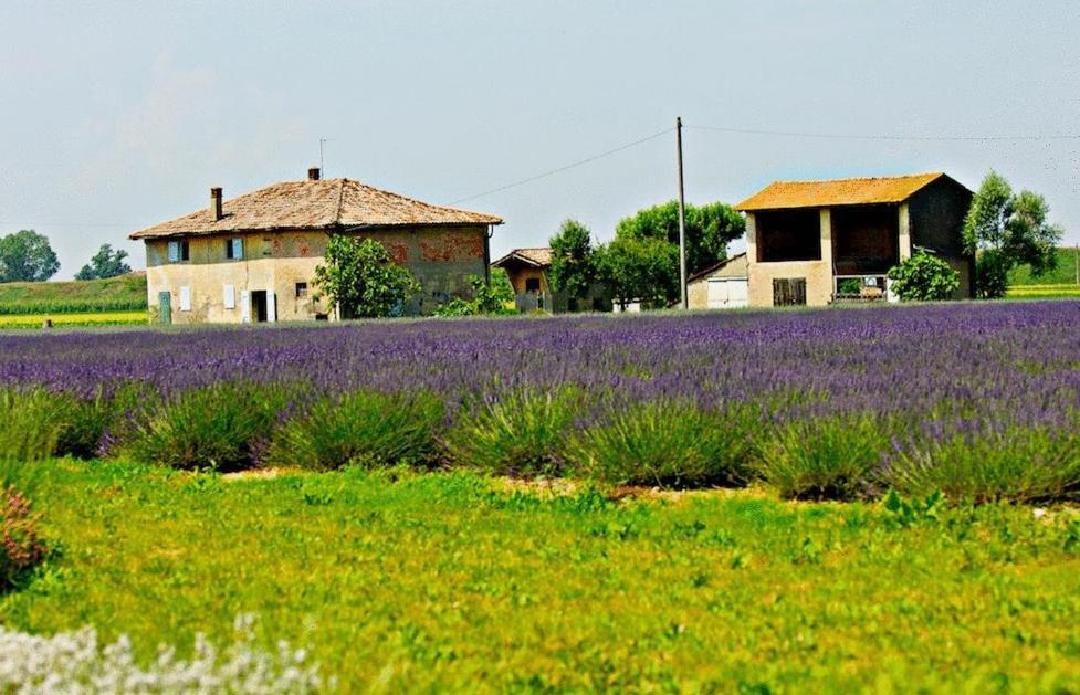 Il Murello Fiorentina Buitenkant foto
